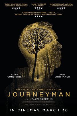 得心拳手 Journeyman海报