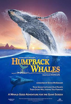 座头鲸 Humpback Whales海报