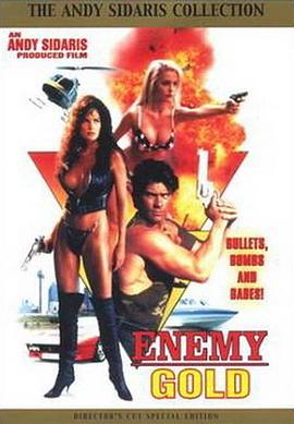执法女先锋 Enemy Gold海报
