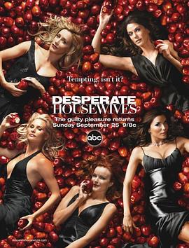 绝望主妇 第二季 Desperate Housewives Season 2海报