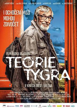 悍妻理论 Teorie tygra海报