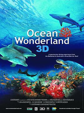海洋仙境 Ocean Wonderland海报