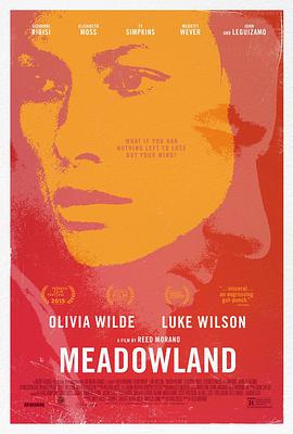小镇迷踪 Meadowland海报
