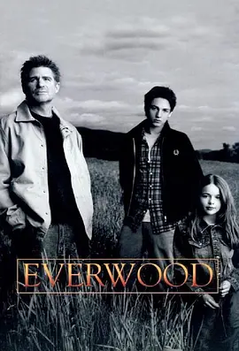 雪山镇 第二季 Everwood Season 2海报