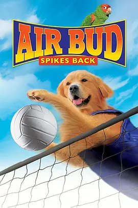 飞狗巴迪5：排球健将 Air Bud: Spikes Back海报