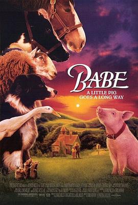 小猪宝贝 Babe海报
