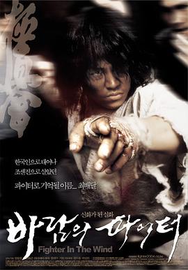 风斗士 바람의 파이터海报