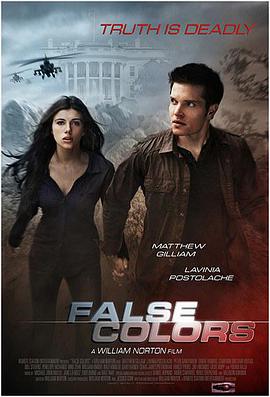 误色 False Colors海报