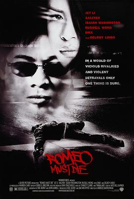 致命罗密欧 Romeo Must Die海报