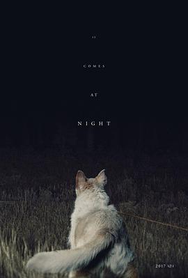 黑夜造访 It Comes at Night海报